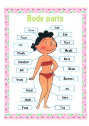 Body parts