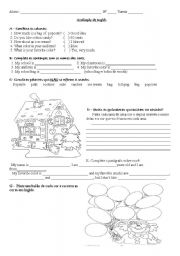 English Worksheet: 5th grade test - colors, snacks