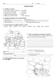 5th grade test - colors, snacks