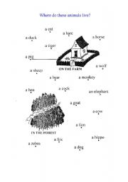 English worksheet: Where do these animals live?