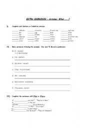 English worksheet: Articles