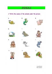 English worksheet: Animals