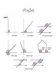 English Worksheet: Angles