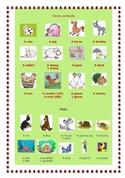 English Worksheet: Pets and farm animals