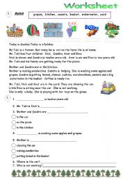 English Worksheet: Reading Comprehension 