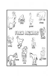 English Worksheet: Farm animals