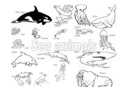 English Worksheet: Sea animals