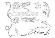 Reptiles