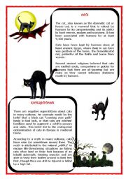 Halloween - CATS (reading and exercises)