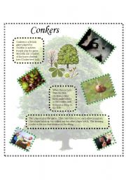 English Worksheet: Conkers