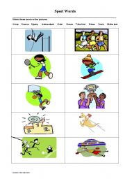 English worksheet: Sport Words