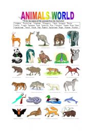 English Worksheet: ANIMALS WORLD