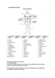 English worksheet: body parts