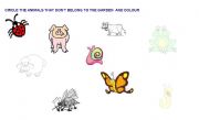 English worksheet: ANIMALS OF THE GARDEN