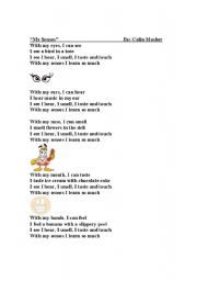 English worksheet: my senses