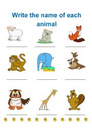 animals