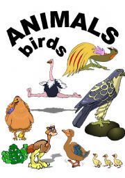 English worksheet: ANIMALS, BIRDS