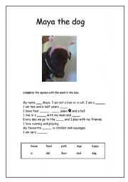 English Worksheet: Maya the dog