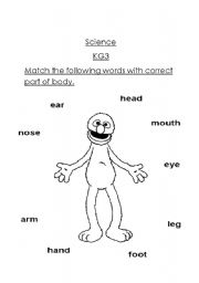 English Worksheet: Parts of body