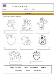 English Worksheet: AUTUMN 