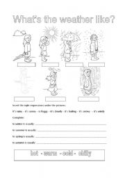English Worksheet: what is the weather like