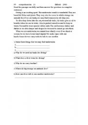 English Worksheet: comprehension