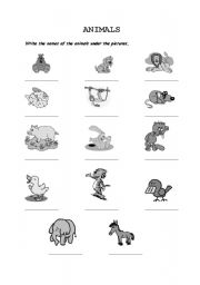 English worksheet: Animals- Vocabulary sheet