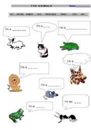 English worksheet: ANIMALS FOR BEGINNERS