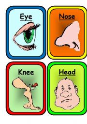 22 COLORFUL FLASHCARDS on  BODY and FACE- Ready to print and use in class !!!