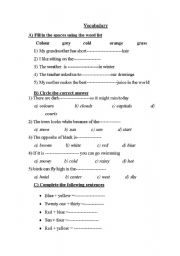 English worksheet: vocabulary