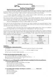 English Worksheet: Reading Comprehension Test