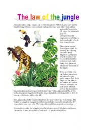 English Worksheet: THE JUNGLE