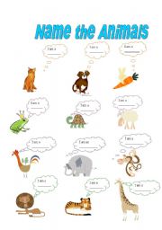 English Worksheet: Name the animals