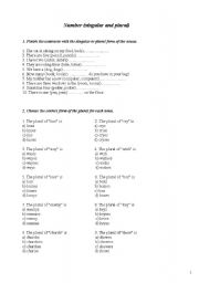 English worksheet: Singular and Plural