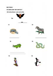 English Worksheet: vocabulary and reading