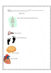 English worksheet: Human Body Parts