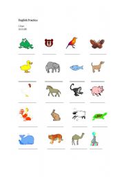 English worksheet: Animals