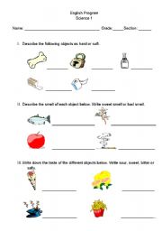 English Worksheet: Five Senses