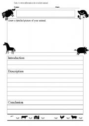 English worksheet: Farm animal report