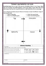 English worksheet: Read and do butterfly worksheet