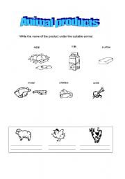 English worksheet: Animal Products