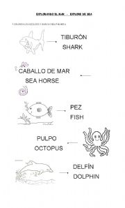 English worksheet: Explore the Sea