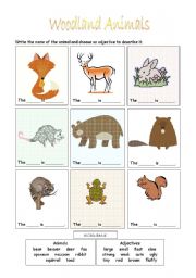 Woodland Animals