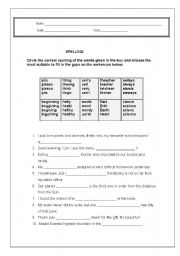 English worksheet: spelling