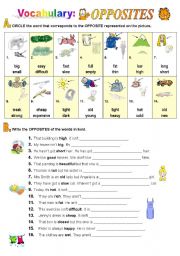 English Worksheet: Opposites