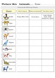 English Worksheet: Picture this       Animals