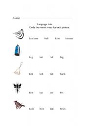 English Worksheet: Consonant /B/