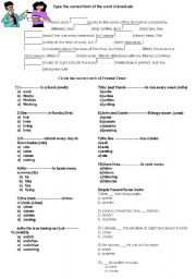 English Worksheet: Simple Present Tense