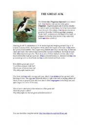 English Worksheet: Why are there no penguins in the Artic ?