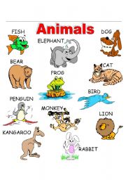 English Worksheet: ANIMALS_1